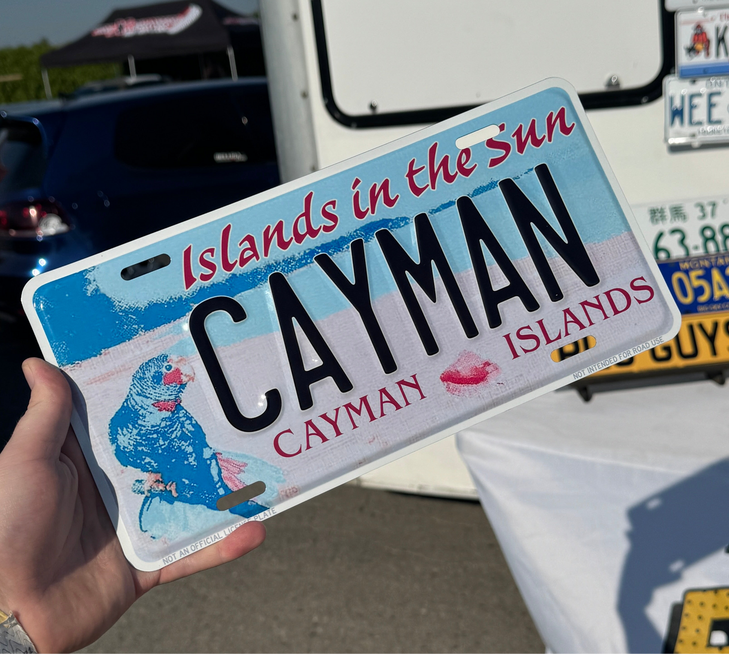 Cayman Islands Custom License Plate