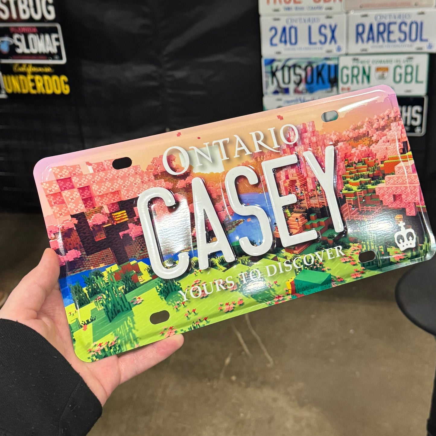 Ontario Custom License Plate (Custom Backgrounds, Logos, Colours)