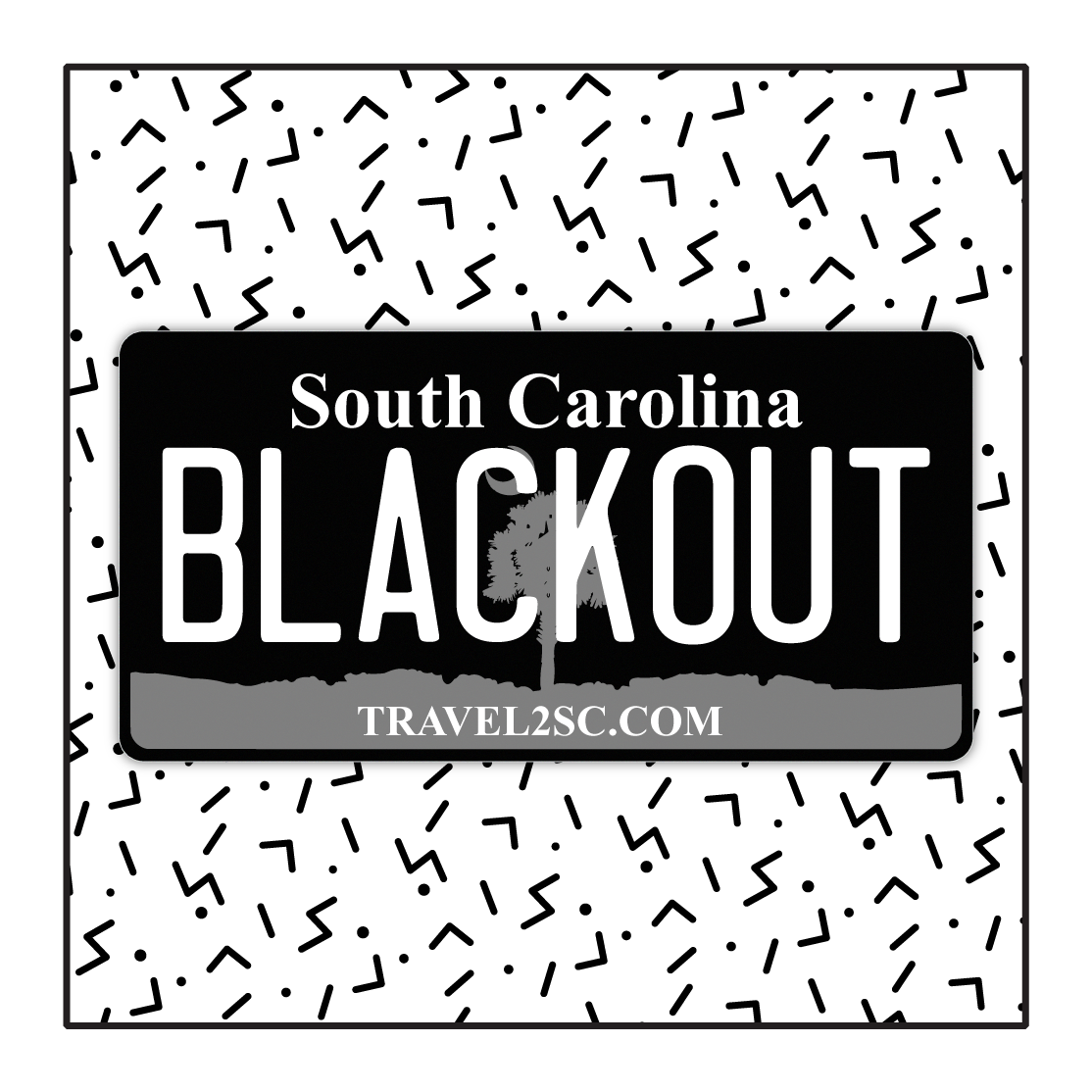 South Carolina Custom Blackout Plate