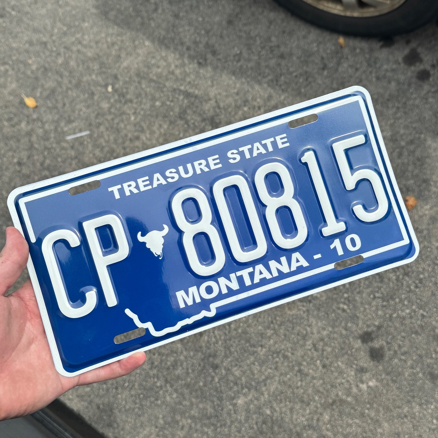Montana Custom License Plate