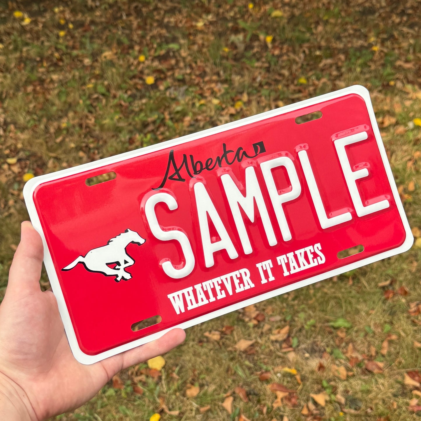 Alberta Custom Sports Plate - Calgary Stampeders